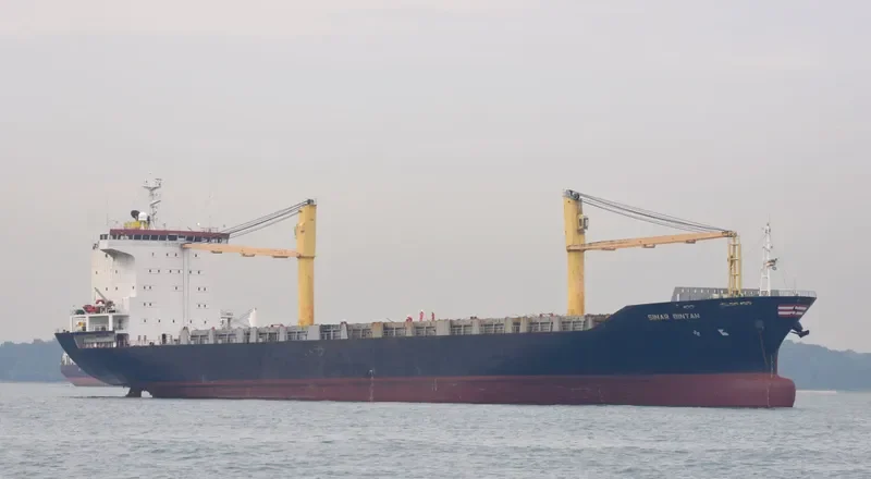 SINAR BINTAN Container Ship IMO 9250957 photo 8