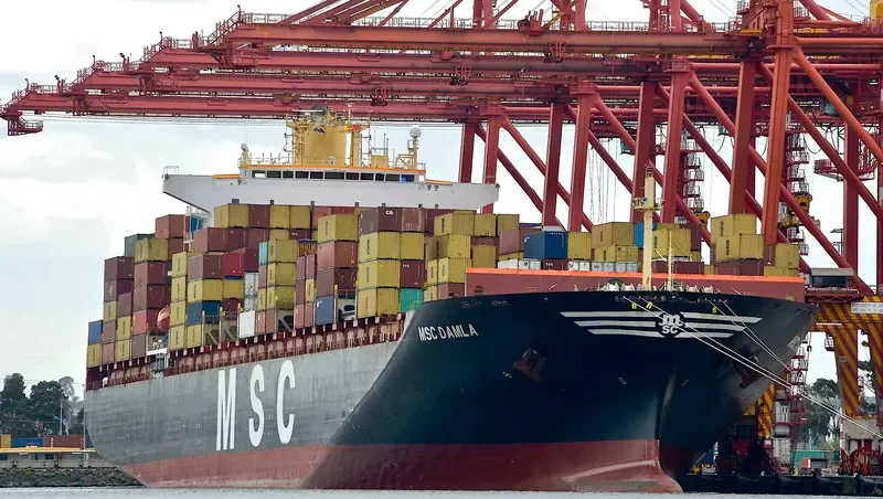 MSC DAMLA Container Ship IMO 9250983