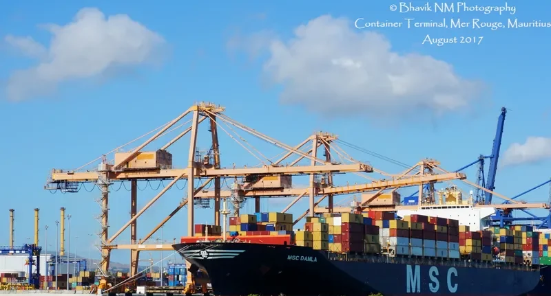 MSC DAMLA Container Ship IMO 9250983 photo 2