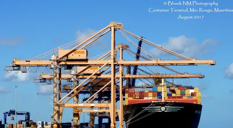 MSC DAMLA Container Ship IMO 9250983 photo 3