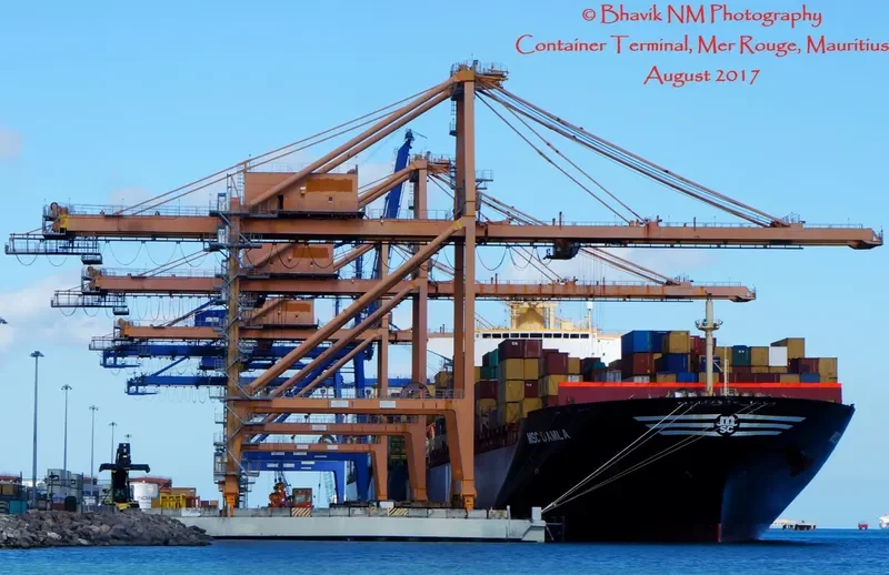 MSC DAMLA Container Ship IMO 9250983 photo 4