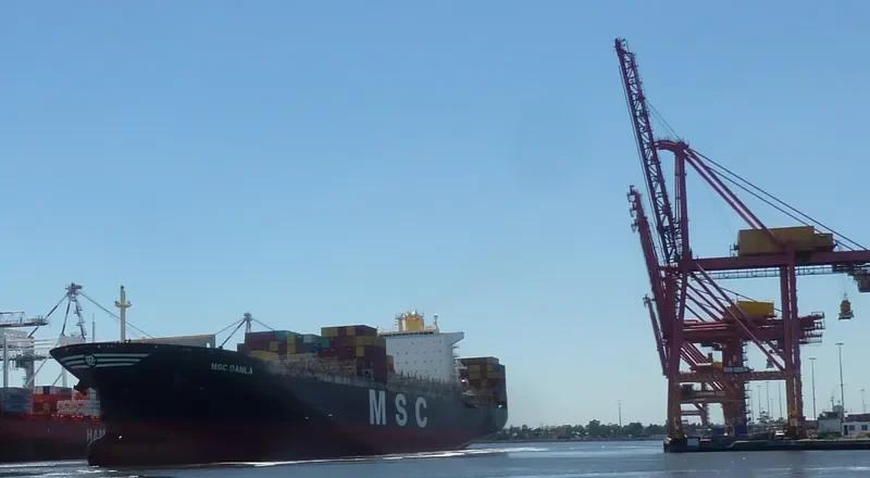 MSC DAMLA Container Ship IMO 9250983 photo 5