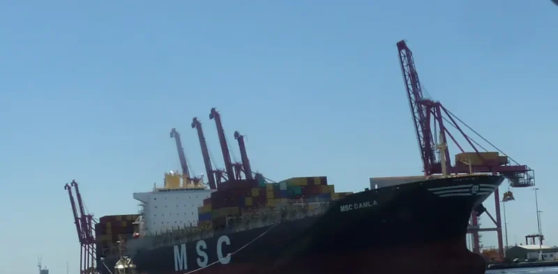 MSC DAMLA Container Ship IMO 9250983 photo 6
