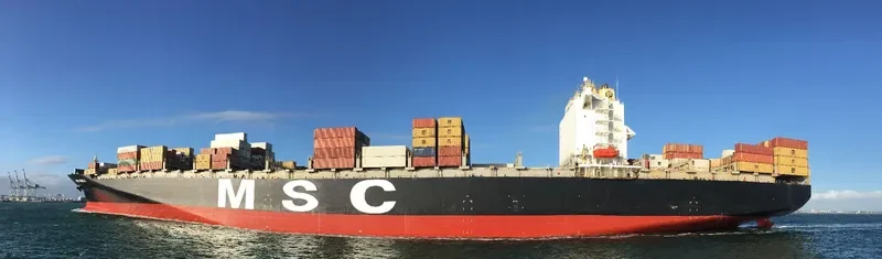 MSC DAMLA Container Ship IMO 9250983 photo 7