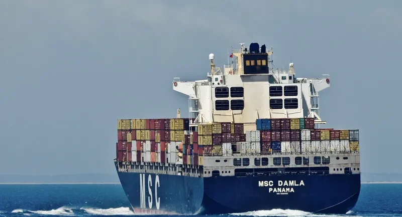 MSC DAMLA Container Ship IMO 9250983 photo 8