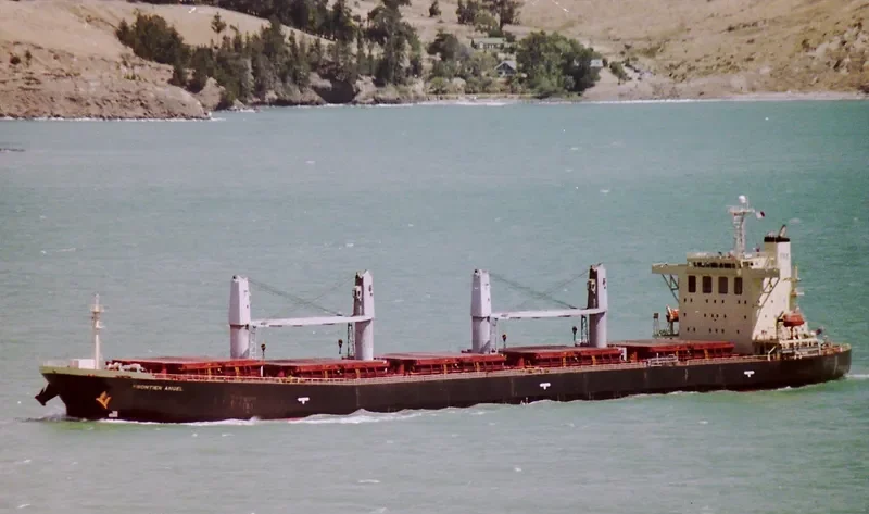 DEFIANT Bulk Carrier IMO 9251030 photo 6