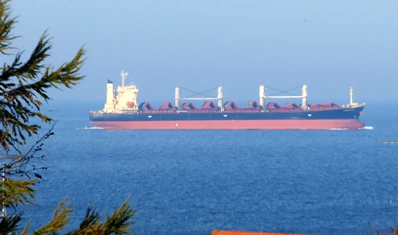 DEFIANT Bulk Carrier IMO 9251030 photo 8