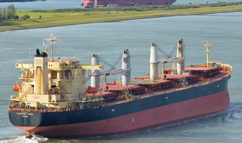DEFIANT Bulk Carrier IMO 9251030 photo 9