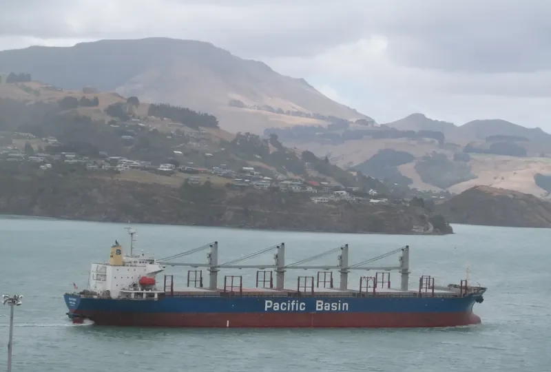GOLD RIVER Bulk Carrier IMO 9251078 photo 4