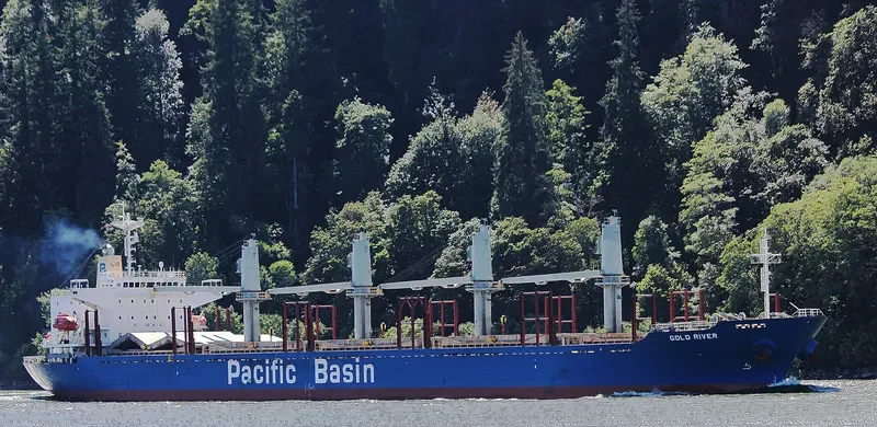 GOLD RIVER Bulk Carrier IMO 9251078 photo 5