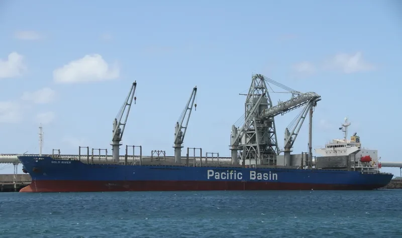 GOLD RIVER Bulk Carrier IMO 9251078 photo 8
