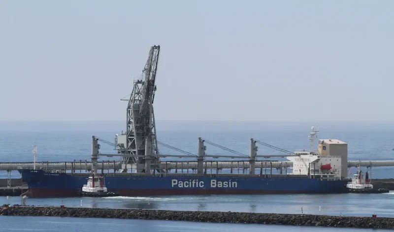 GOLD RIVER Bulk Carrier IMO 9251078 photo 9