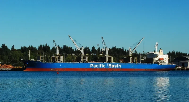 GOLD RIVER Bulk Carrier IMO 9251078 photo 10