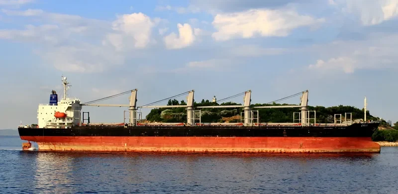 CRUX Bulk Carrier IMO 9251080 photo 3