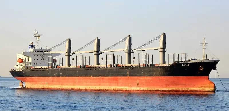 CRUX Bulk Carrier IMO 9251080 photo 4