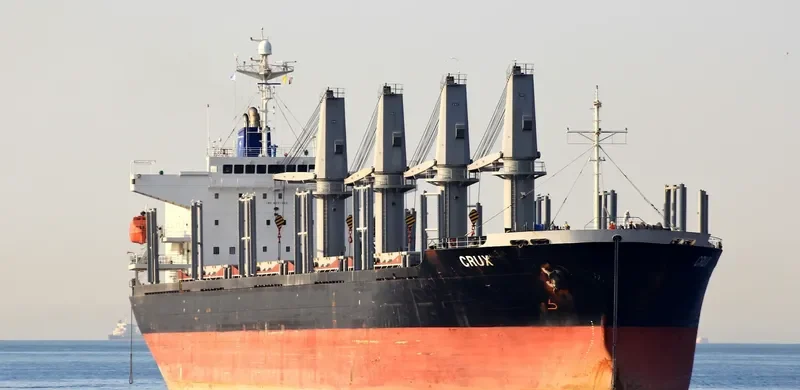 CRUX Bulk Carrier IMO 9251080 photo 5