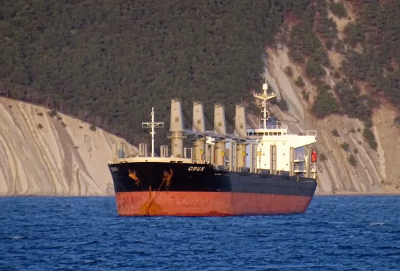 CRUX Bulk Carrier IMO 9251080 photo 9