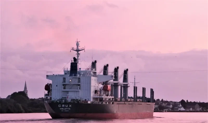 CRUX Bulk Carrier IMO 9251080 photo 10