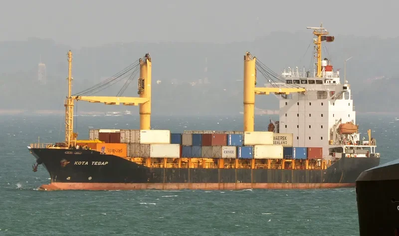 DONGJIN FORTUNE Container Ship IMO 9251145