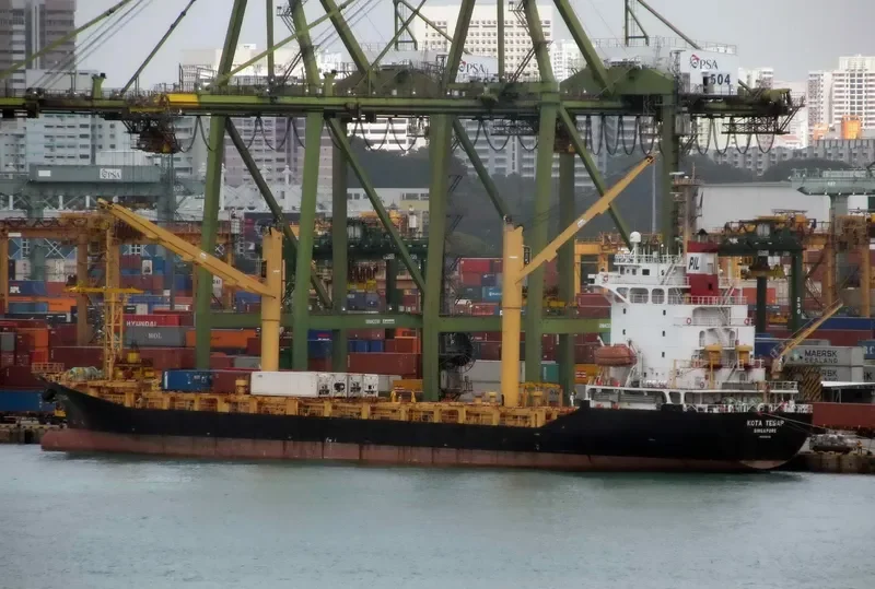 DONGJIN FORTUNE Container Ship IMO 9251145 photo 2