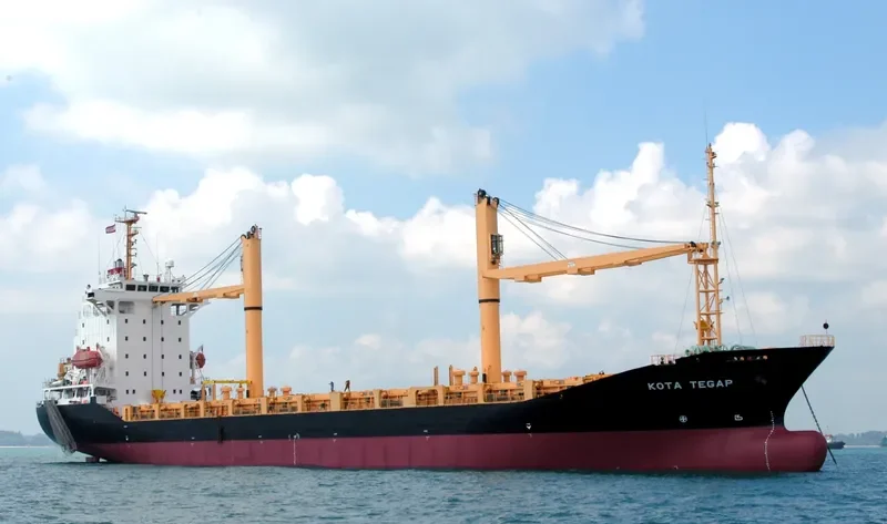 DONGJIN FORTUNE Container Ship IMO 9251145 photo 4