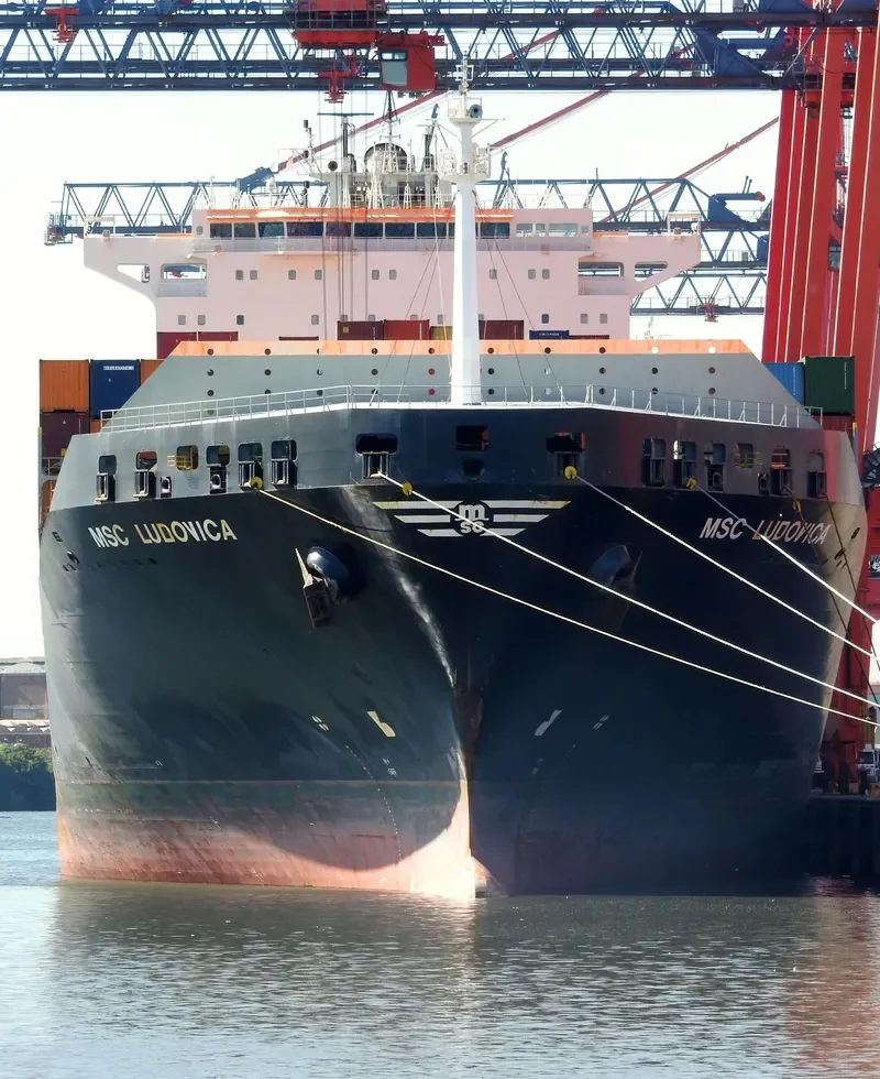 MSC LUDOVICA Container Ship IMO 9251690 photo 4
