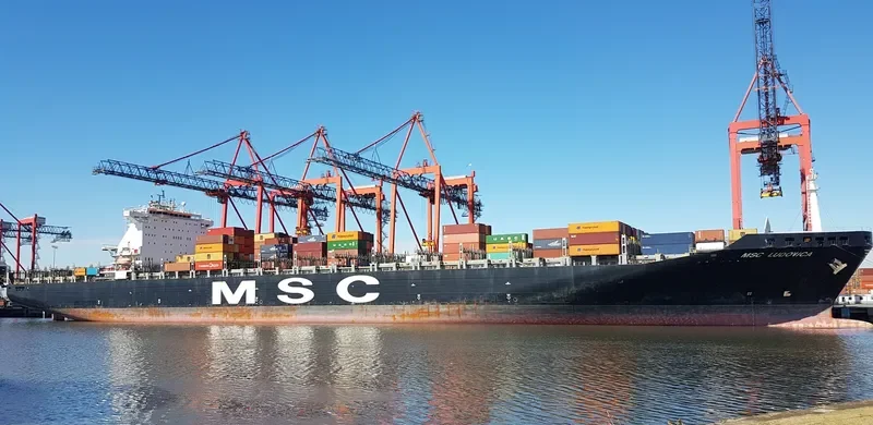 MSC LUDOVICA Container Ship IMO 9251690 photo 5