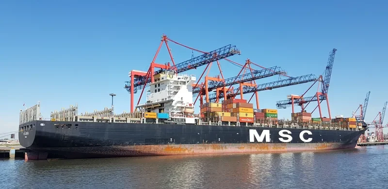 MSC LUDOVICA Container Ship IMO 9251690 photo 7