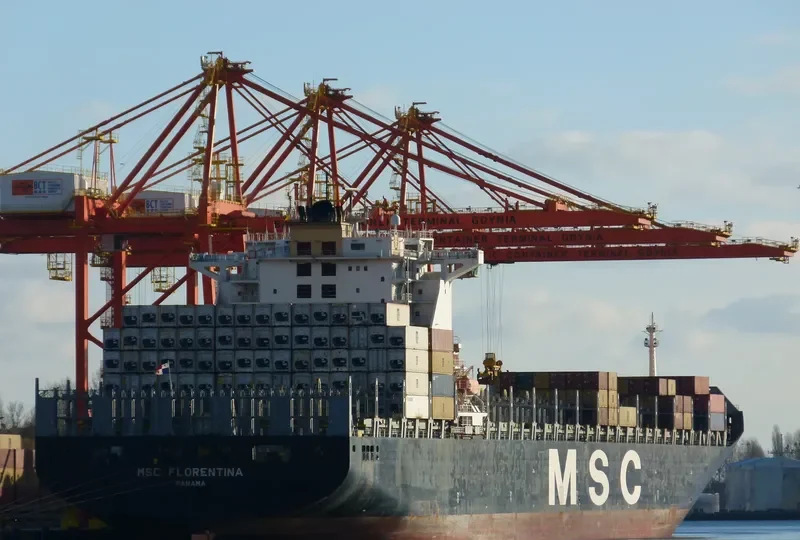 MSC FLORENTINA Container Ship IMO 9251705 photo 2