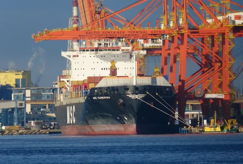 MSC FLORENTINA Container Ship IMO 9251705 photo 3