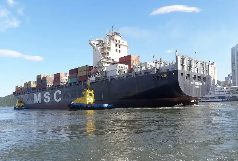 MSC FLORENTINA Container Ship IMO 9251705 photo 5