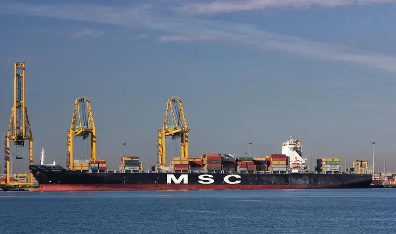 MSC FLORENTINA Container Ship IMO 9251705 photo 8
