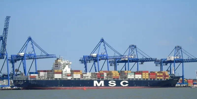 MSC MAUREEN Container Ship IMO 9251717 photo 2