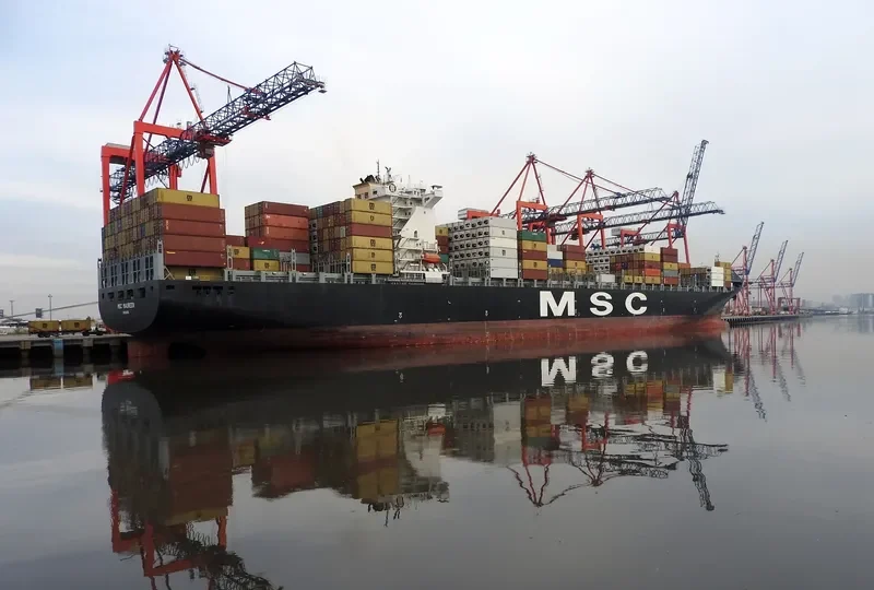 MSC MAUREEN Container Ship IMO 9251717 photo 5