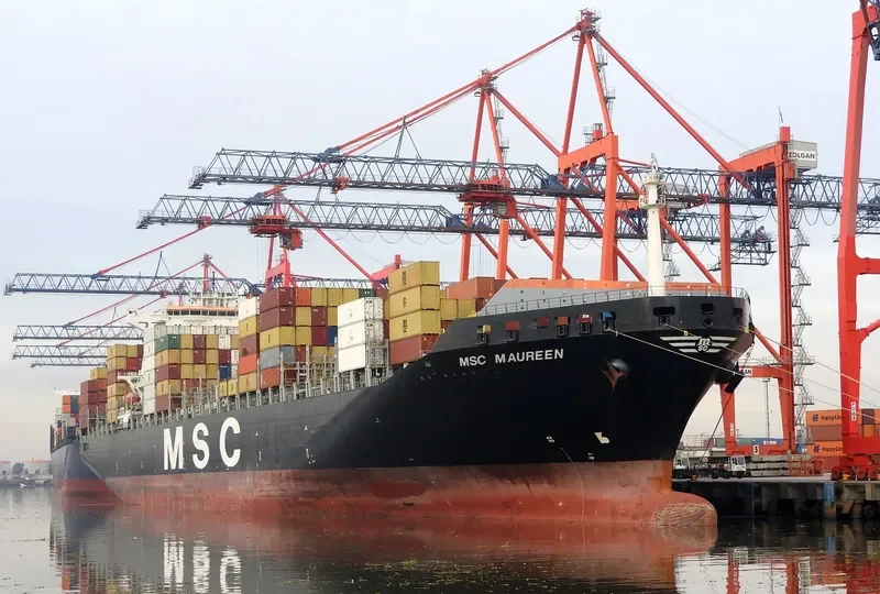 MSC MAUREEN Container Ship IMO 9251717 photo 7