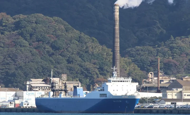 INNOVATOR Ro-Ro IMO 9251731 photo 10
