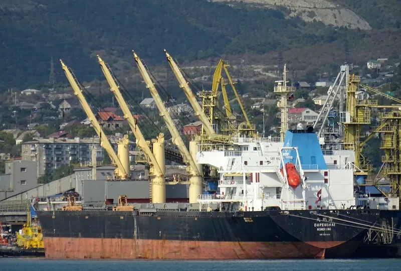 DAPENGHAI Bulk Carrier IMO 9251860