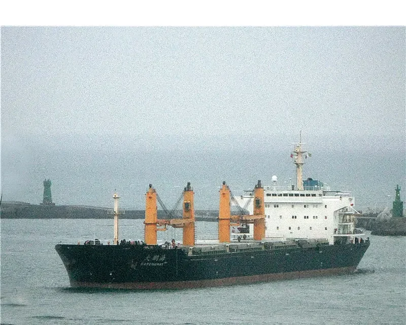 DAPENGHAI Bulk Carrier IMO 9251860 photo 3