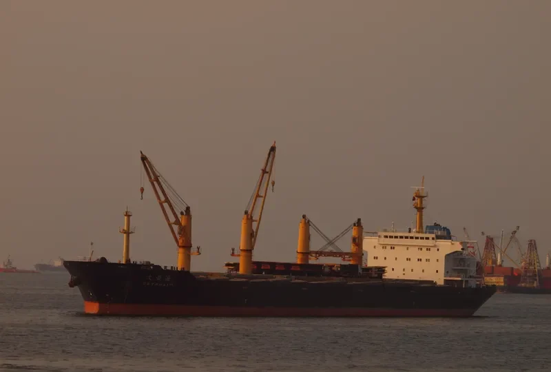 DAYAHAI Bulk Carrier IMO 9251872