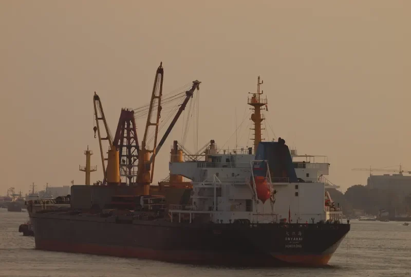 DAYAHAI Bulk Carrier IMO 9251872 photo 2