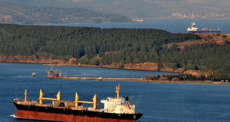 DAYAHAI Bulk Carrier IMO 9251872 photo 9