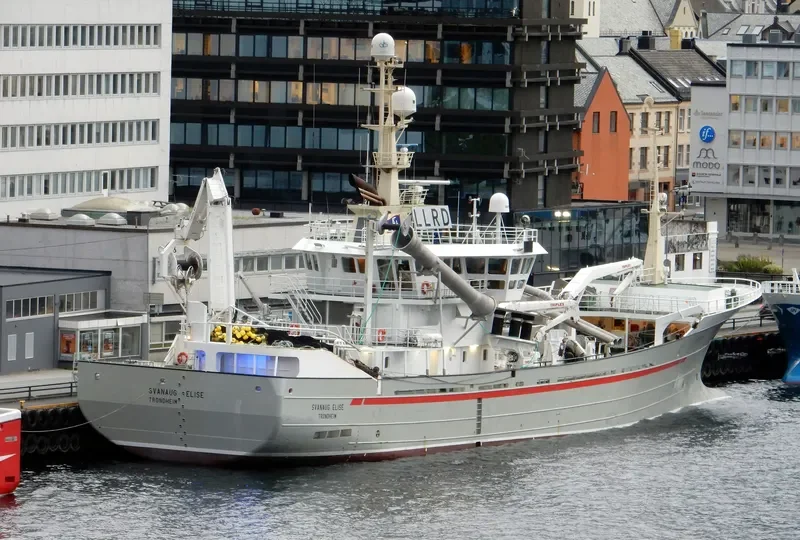 SVANAUG ELISE General Cargo IMO 9251913 photo 4