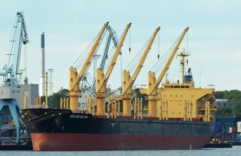 GOLDEN DESTINY Bulk Carrier IMO 9252046 photo 4