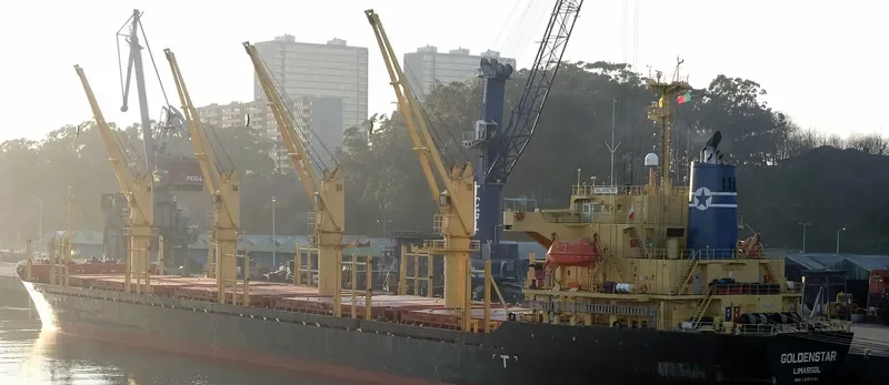 GOLDEN DESTINY Bulk Carrier IMO 9252046 photo 5