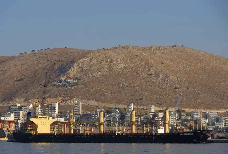 GOLDEN DESTINY Bulk Carrier IMO 9252046 photo 6