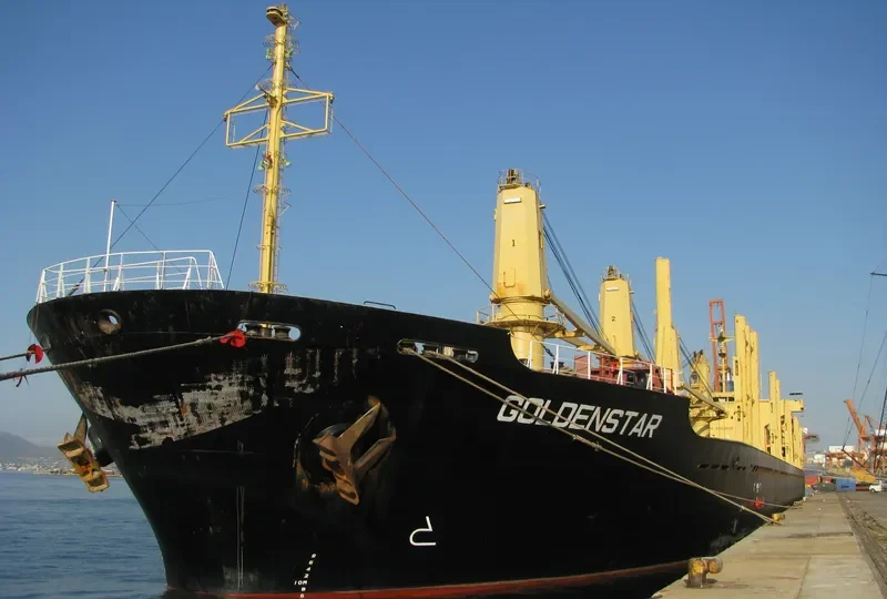 GOLDEN DESTINY Bulk Carrier IMO 9252046 photo 9