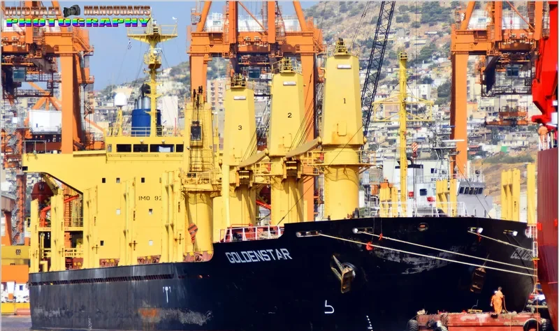 GOLDEN DESTINY Bulk Carrier IMO 9252046 photo 10