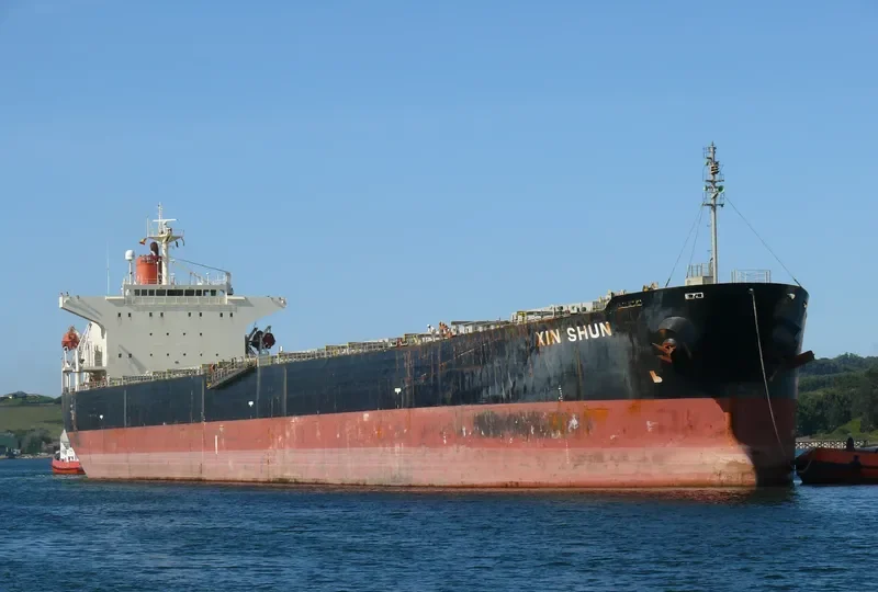 XIN SHUN Bulk Carrier IMO 9252199 photo 3