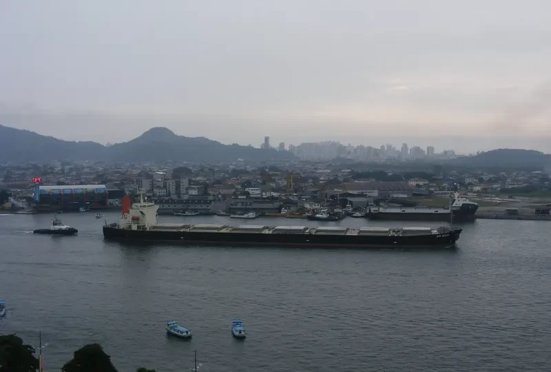 XIN SHUN Bulk Carrier IMO 9252199 photo 4