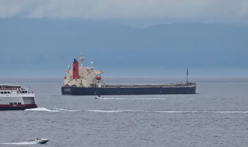 XIN SHUN Bulk Carrier IMO 9252199 photo 5